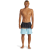 Bañador Quiksilver Everyday Wordblock Hombre